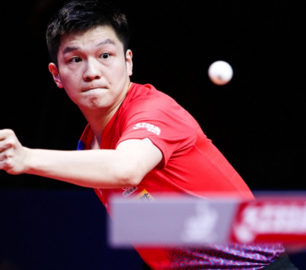 伴侣毛罗 伴侣毛罗