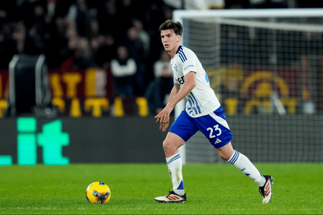 导和全队的 导和全队的