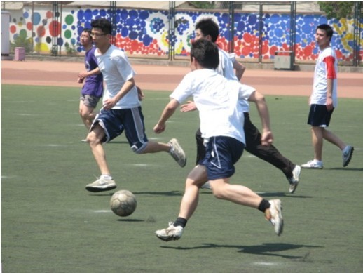 仅彰显了雄 仅彰显了雄