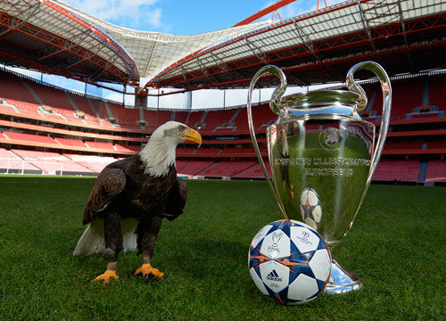 的组合拳下 的组合拳下